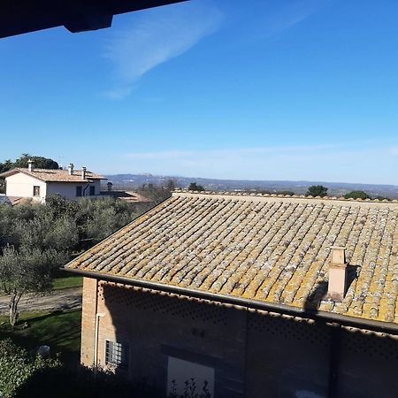 Agriturismo La Romanella Villa Viterbo Dış mekan fotoğraf