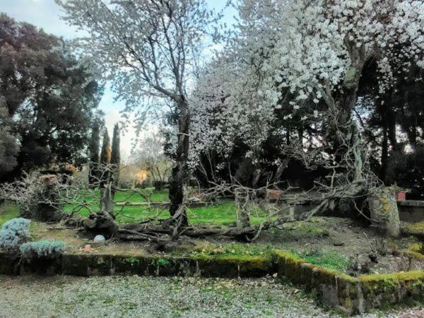 Agriturismo La Romanella Villa Viterbo Dış mekan fotoğraf