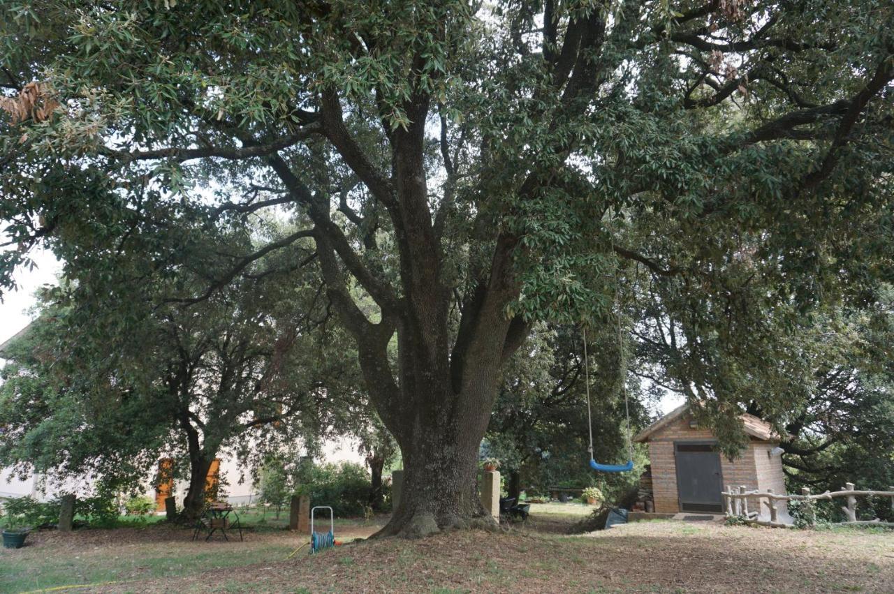 Agriturismo La Romanella Villa Viterbo Dış mekan fotoğraf