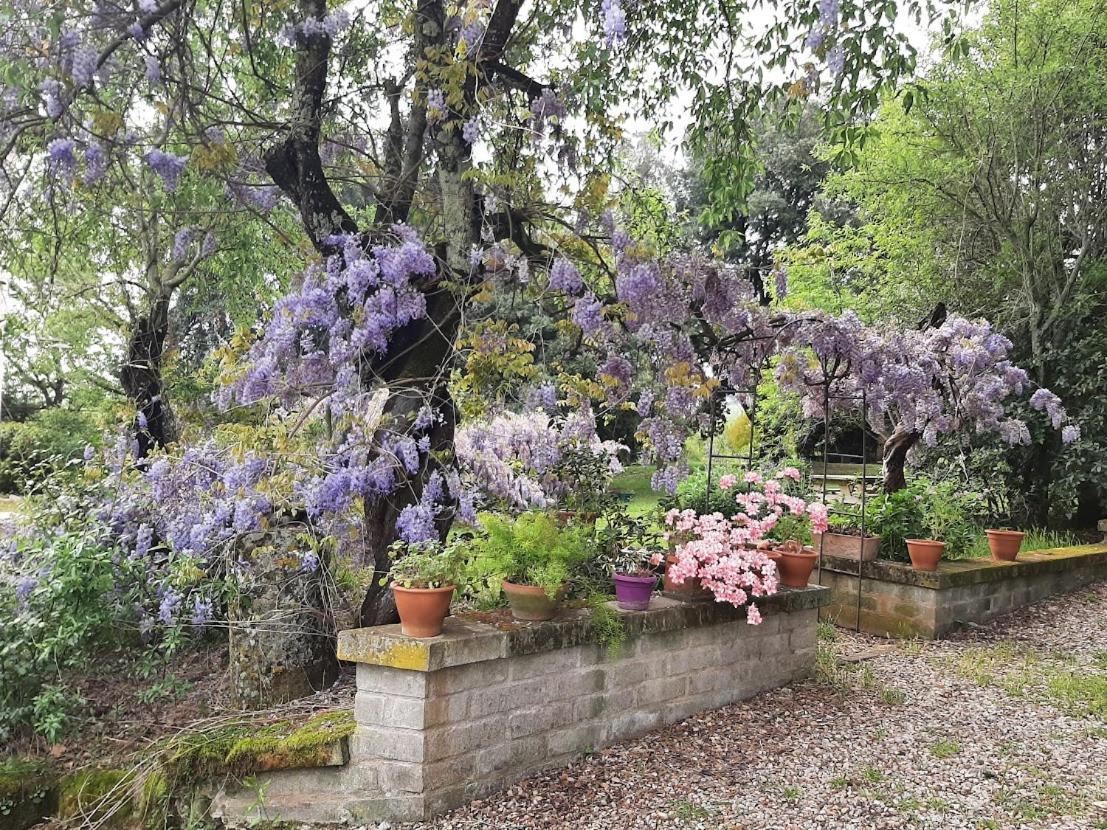 Agriturismo La Romanella Villa Viterbo Dış mekan fotoğraf