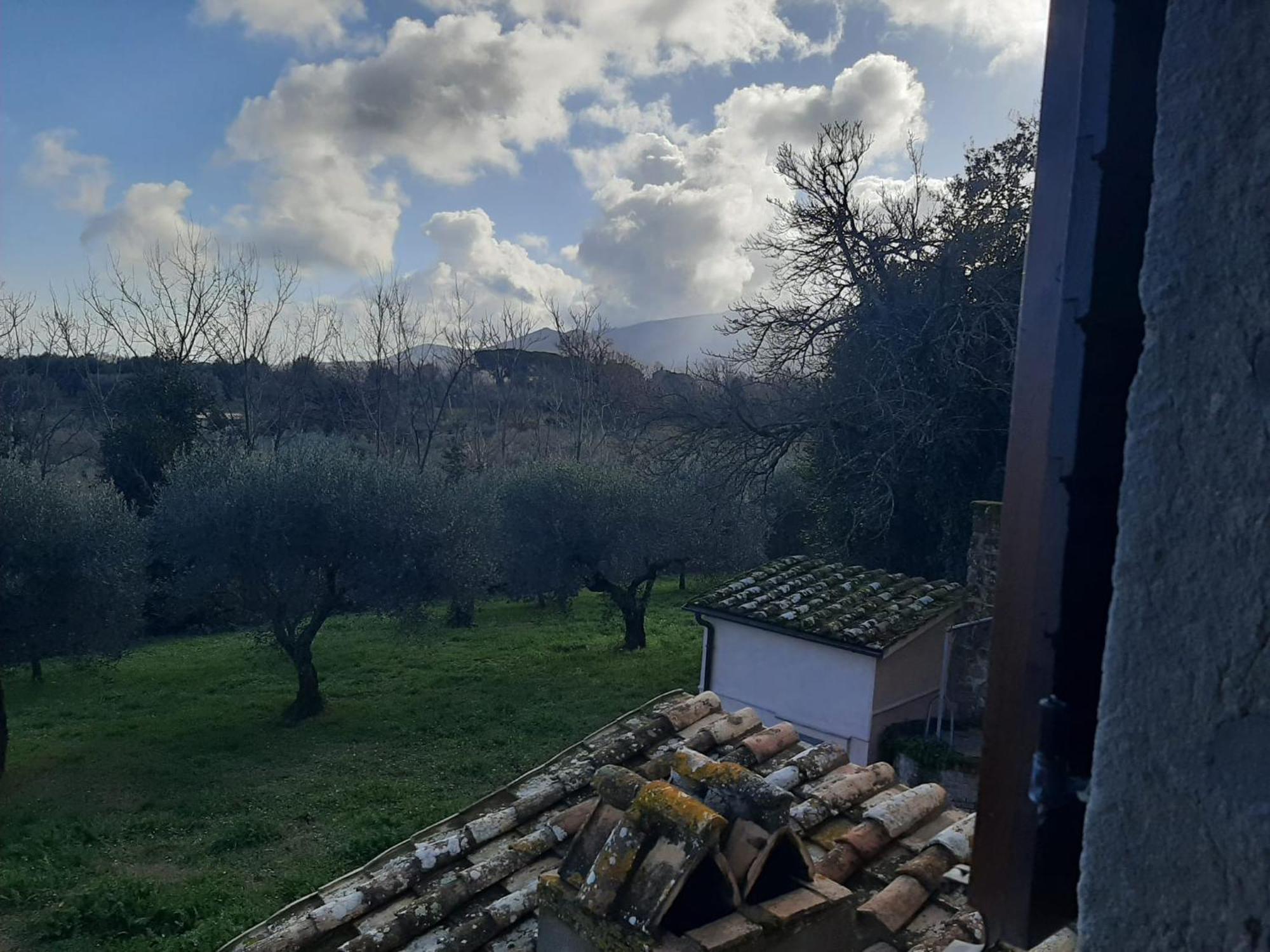 Agriturismo La Romanella Villa Viterbo Dış mekan fotoğraf