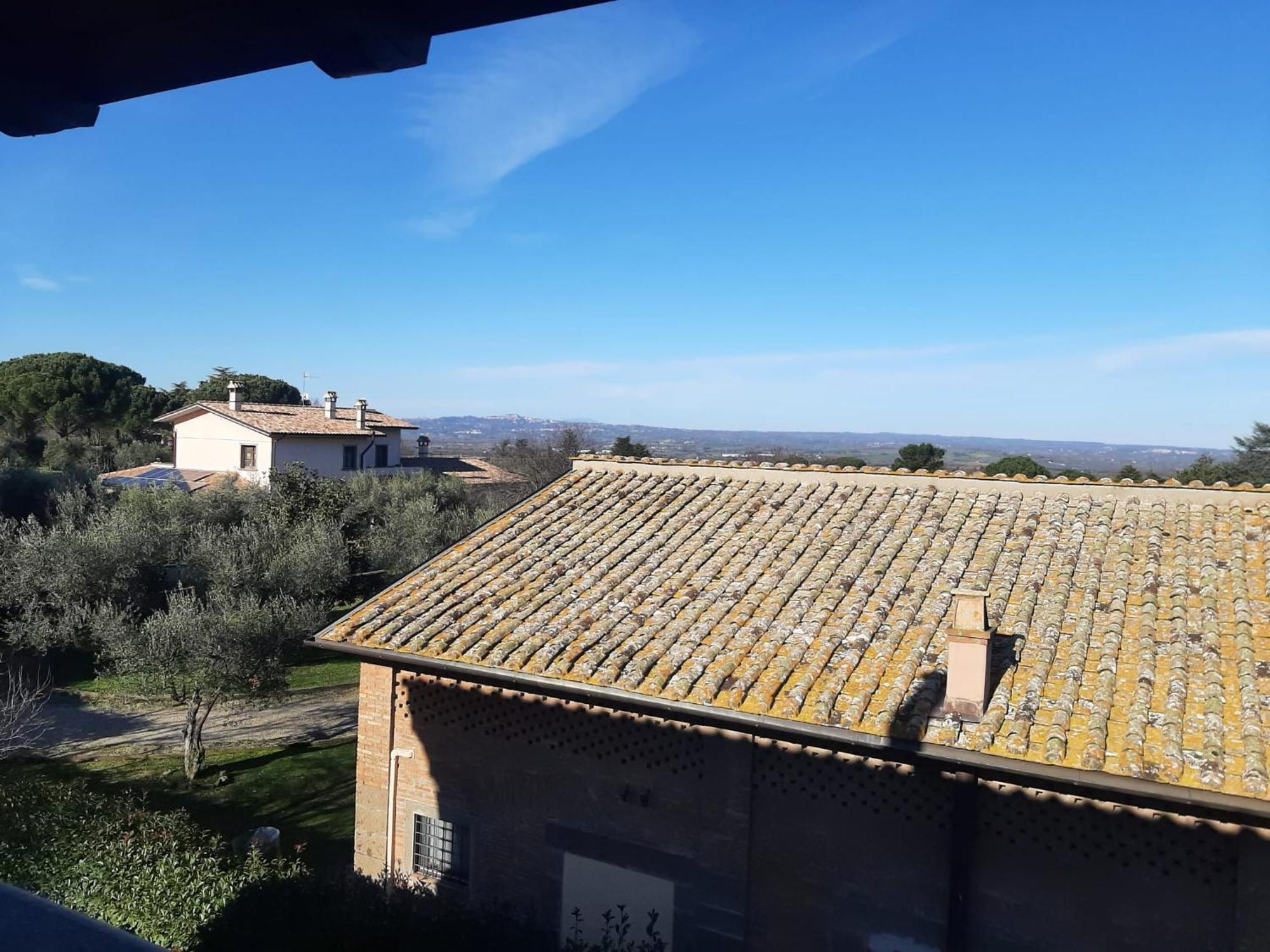 Agriturismo La Romanella Villa Viterbo Dış mekan fotoğraf